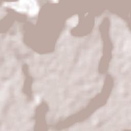 Moyoapan Terrain Map