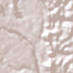 El Porvenir Terrain Map