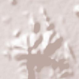 Al Qahab Terrain Map