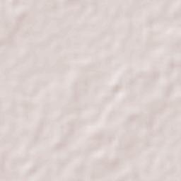 Tecomán Terrain Map