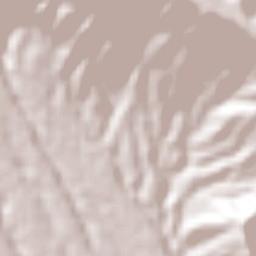 Coatepec Harinas Terrain Map