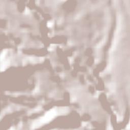 Ejido de la Finca Terrain Map