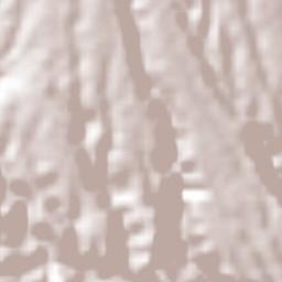 Cuentepec Terrain Map