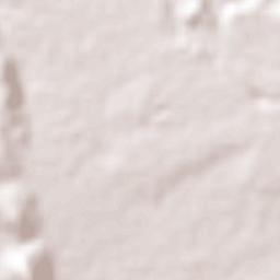 Peña Flores (Palo Verde) Terrain Map