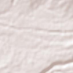 Yecapixtla Terrain Map