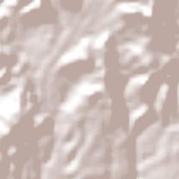 Hueyapan Terrain Map