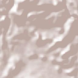 Tecuanipa Terrain Map