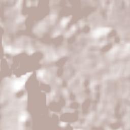 Tochimilco Terrain Map