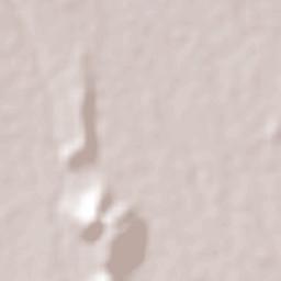 San Jerónimo Coyula Terrain Map