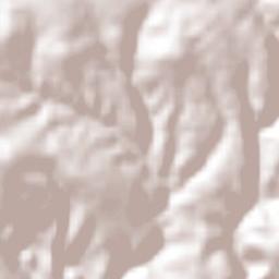 La Trinidad Tianguismanalco Terrain Map