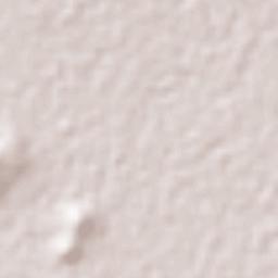 Ometepec Terrain Map