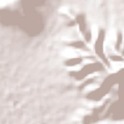 Tecamachalco Terrain Map