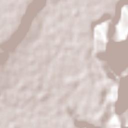 Buenavista Terrain Map