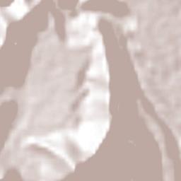 Cuautlapán Terrain Map