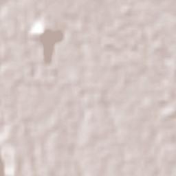 El Pueblito Terrain Map