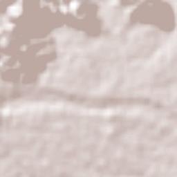 Paraje Nuevo Terrain Map