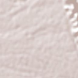 General Miguel Alemán Terrain Map