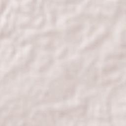 La Capilla Terrain Map