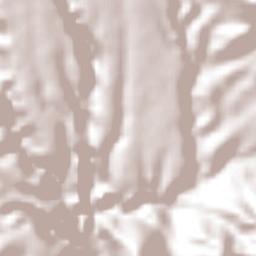 El Progreso Hidalgo Terrain Map