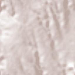 Unidad Habitacional José María Morelos y Pavón Terrain Map