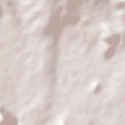 Emiliano Zapata Terrain Map