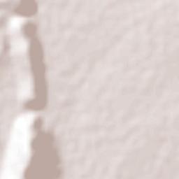 Ex-Hacienda el Hospital Terrain Map