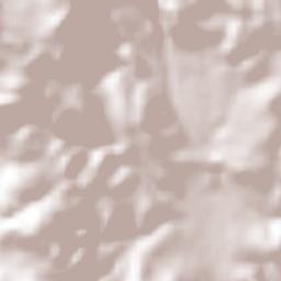 Santiago Atzitzihuacán Terrain Map