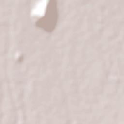 Soledad Morelos Terrain Map