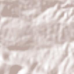 Tzicatlacoyan Terrain Map