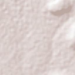 Santa Ana Coapan Terrain Map