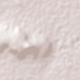 Tochtepec Terrain Map