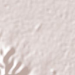 La Purísima Terrain Map