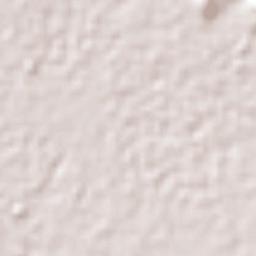 Palmar de Bravo Terrain Map