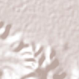 Cuesta Blanca Terrain Map