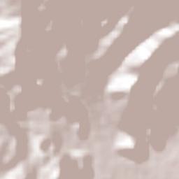 Cecilio Terán Terrain Map