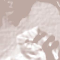 Huiloapan de Cuauhtémoc Terrain Map