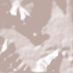 Zapoapan Terrain Map