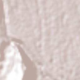 Trapiche Viejo Terrain Map