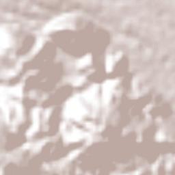 Manuel León Terrain Map