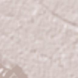 Cacahuatal Terrain Map