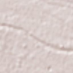 General Alatriste (San Joaquín) Terrain Map