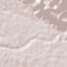 El Maguey Terrain Map