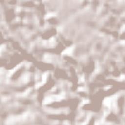 Carrillo Puerto Terrain Map