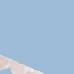 Arbolillo Terrain Map