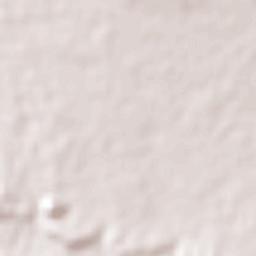 Pedro Corto Terrain Map