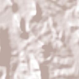 Piedra Blanca Terrain Map