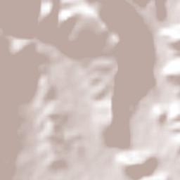 Coalcomán de Vázquez Pallares Terrain Map