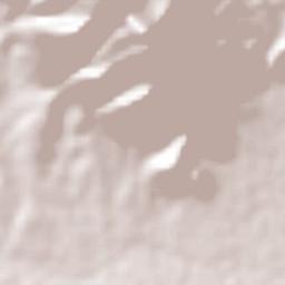 Cupuán del Río Terrain Map