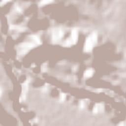 San Gaspar Tonatico Terrain Map