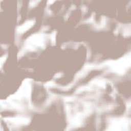 San Gaspar Terrain Map